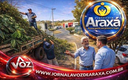 Lei pioneira de Araxá para combate à murta passa a ser adotada por outros municípios mineiros