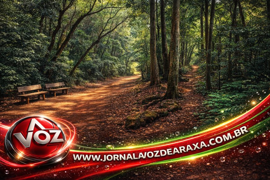 Araxá: Trilha do Hotel Rádio e Cascatinha destaca riquezas naturais do Barreiro