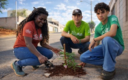Projeto “Uma Árvore na Minha Calçada” incentiva moradores a deixarem Araxá mais verde e sustentável