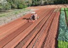 Secretaria de Agricultura e Pecuária orienta produtores sobre emissão do Certificado de Cadastro de Imóvel Rural 2026