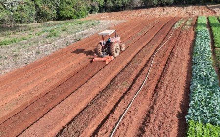 Secretaria de Agricultura e Pecuária orienta produtores sobre emissão do Certificado de Cadastro de Imóvel Rural 2026