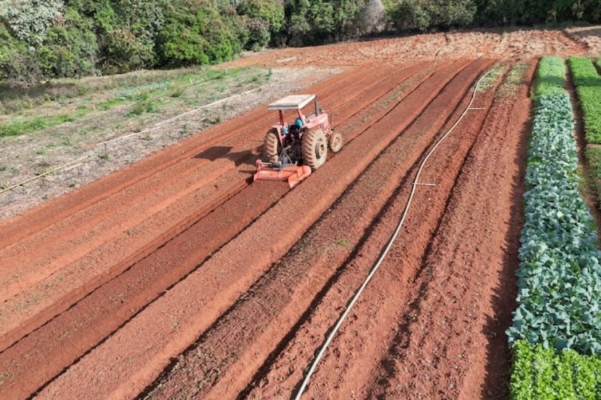Secretaria de Agricultura e Pecuária orienta produtores sobre emissão do Certificado de Cadastro de Imóvel Rural 2026