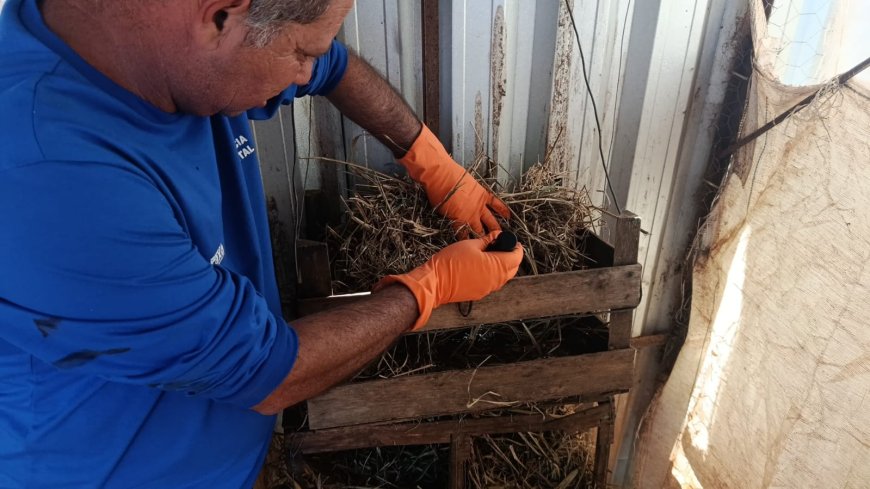 Levantamento anual monitora presença do barbeiro transmissor da doença de Chagas na zona rural de Araxá