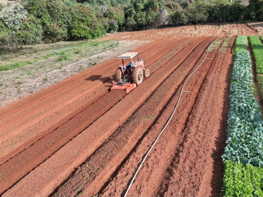 Secretaria de Agricultura e Pecuária orienta produtores sobre emissão do Certificado de Cadastro de Imóvel Rural 2026